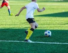 大乐透期号,专家推荐,伊戈尔,世界杯买球,投注攻略,2026世界杯,买球技巧,赛事分析