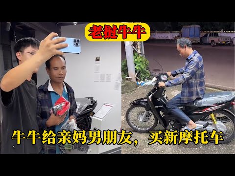 大乐透期号,专家质合分,析推荐,世界杯买球,投注攻略,2026世界杯,买球技巧,赛事分析