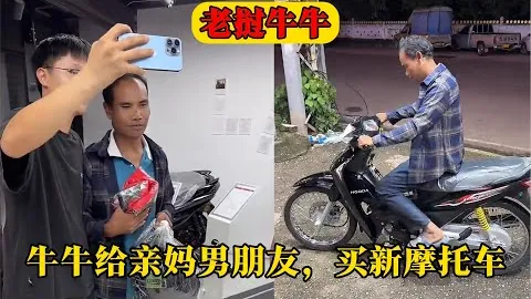 大乐透期号专家质合分析推荐：新西联连胜预测及怀伊主场备战